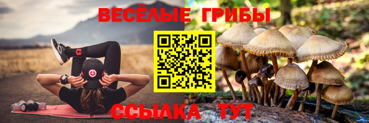 Псилоцибиновые грибы GOLDEN TEACHER  Вход с VPN  как найти   Ревда 
